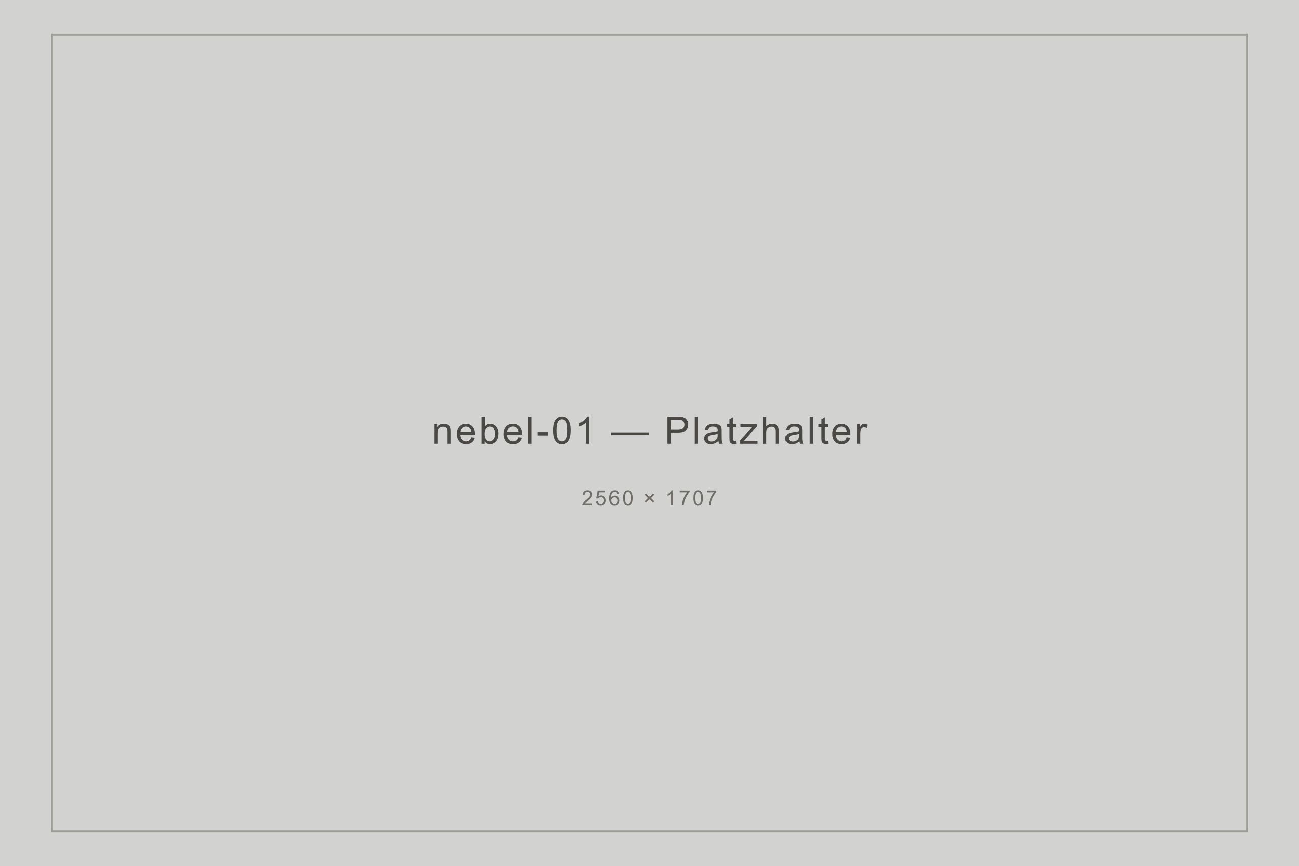 Platzhalter, Querformat, Serie Nebel