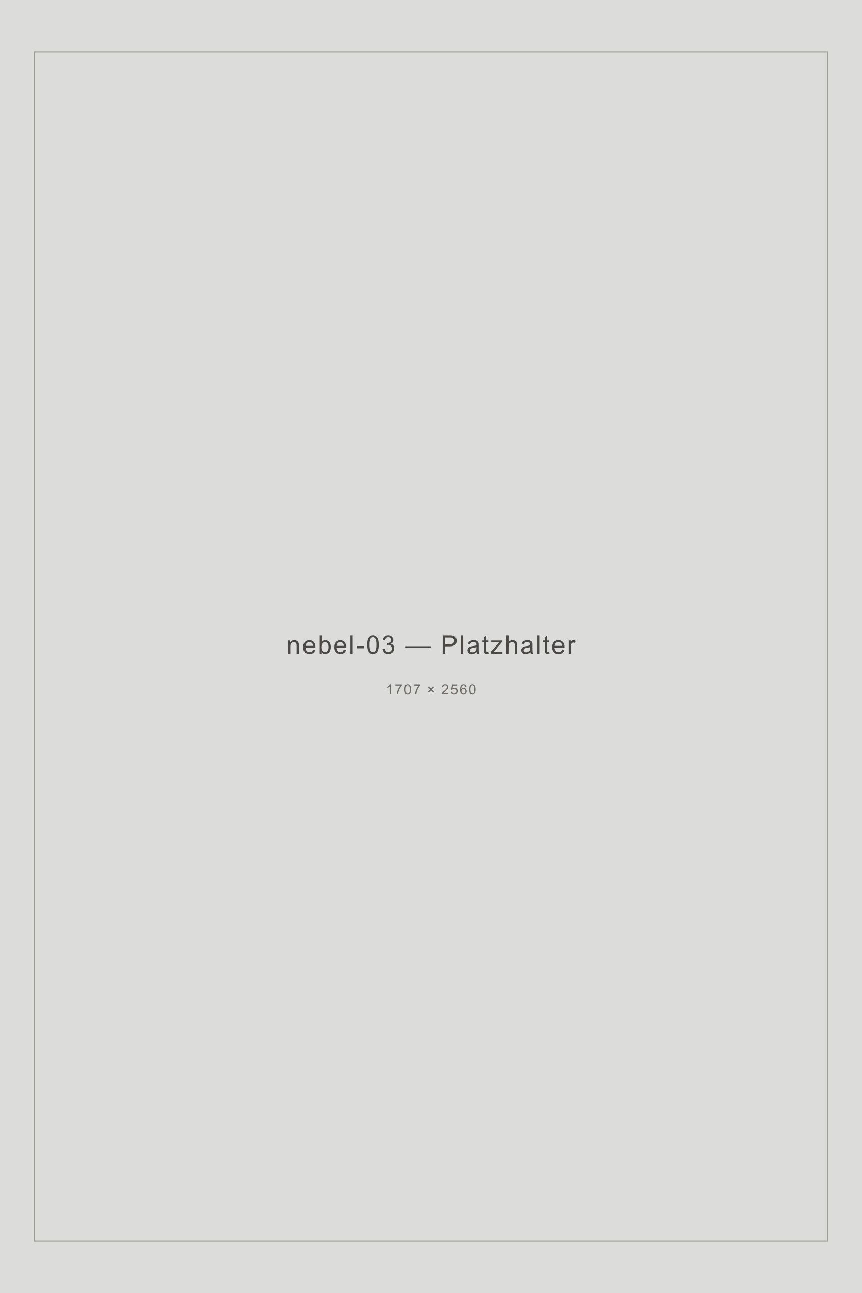 Platzhalter, Hochformat, Serie Nebel